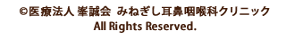 © 医療法人 峯誠会　みねぎし耳鼻咽喉科クリニック All Rights Reserved.